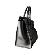 Celine Luggage Mini Zorzoli Borse