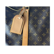 Louis Vuitton Keepall 50 Zorzoli Borse