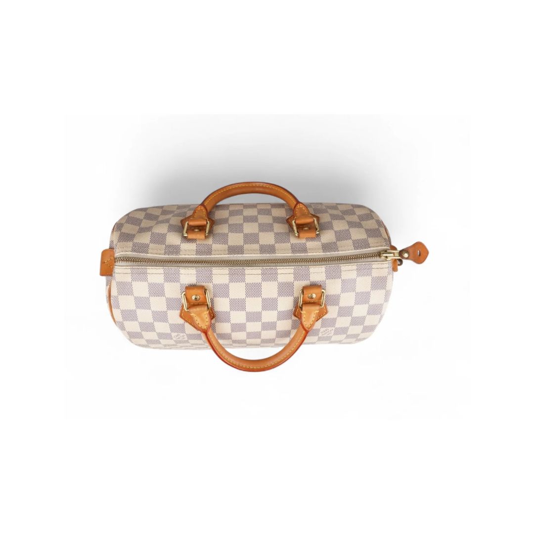 Louis Vuitton Speedy 30 Zorzoli Borse