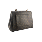 Louis Vuitton Cluny MM Zorzoli Borse