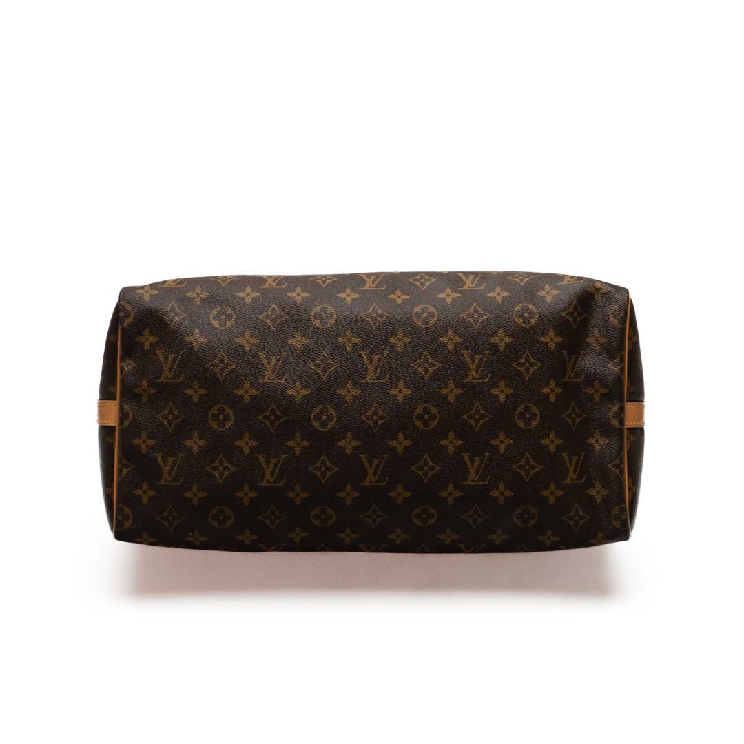 Louis Vuitton Speedy 40 Zorzoli Borse