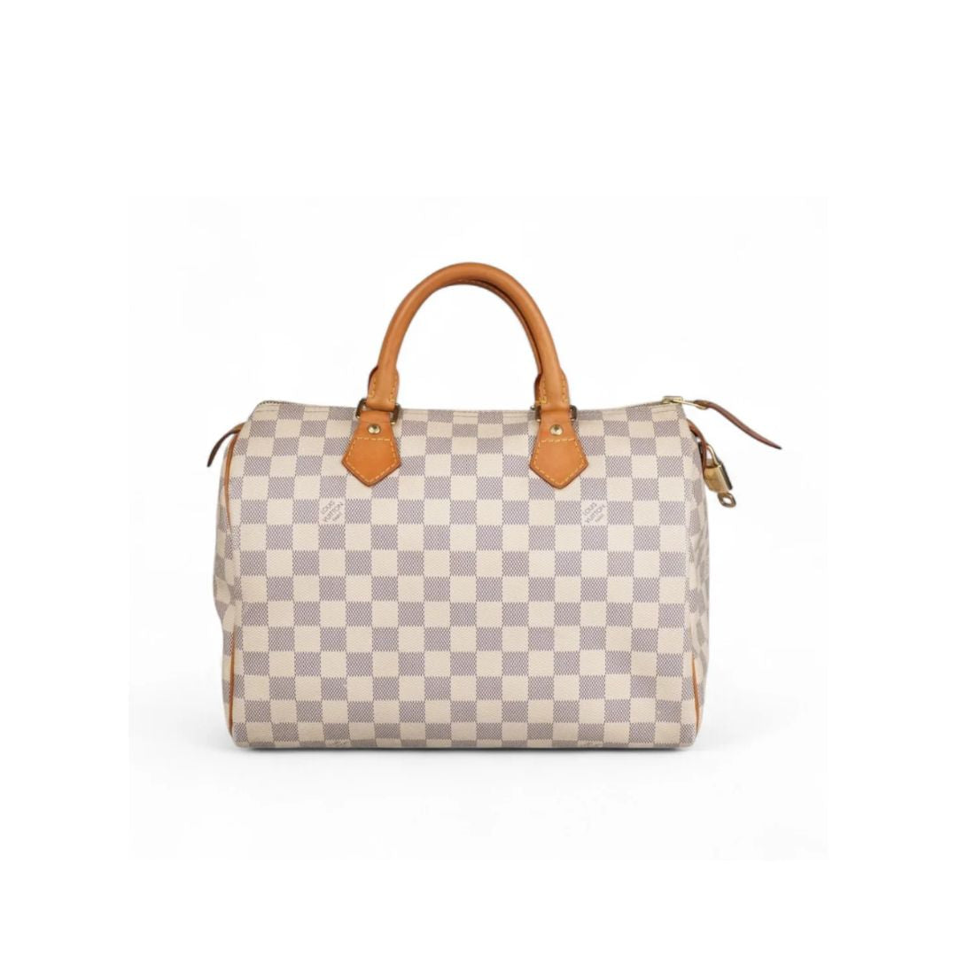 Louis Vuitton Speedy 30 Zorzoli Borse