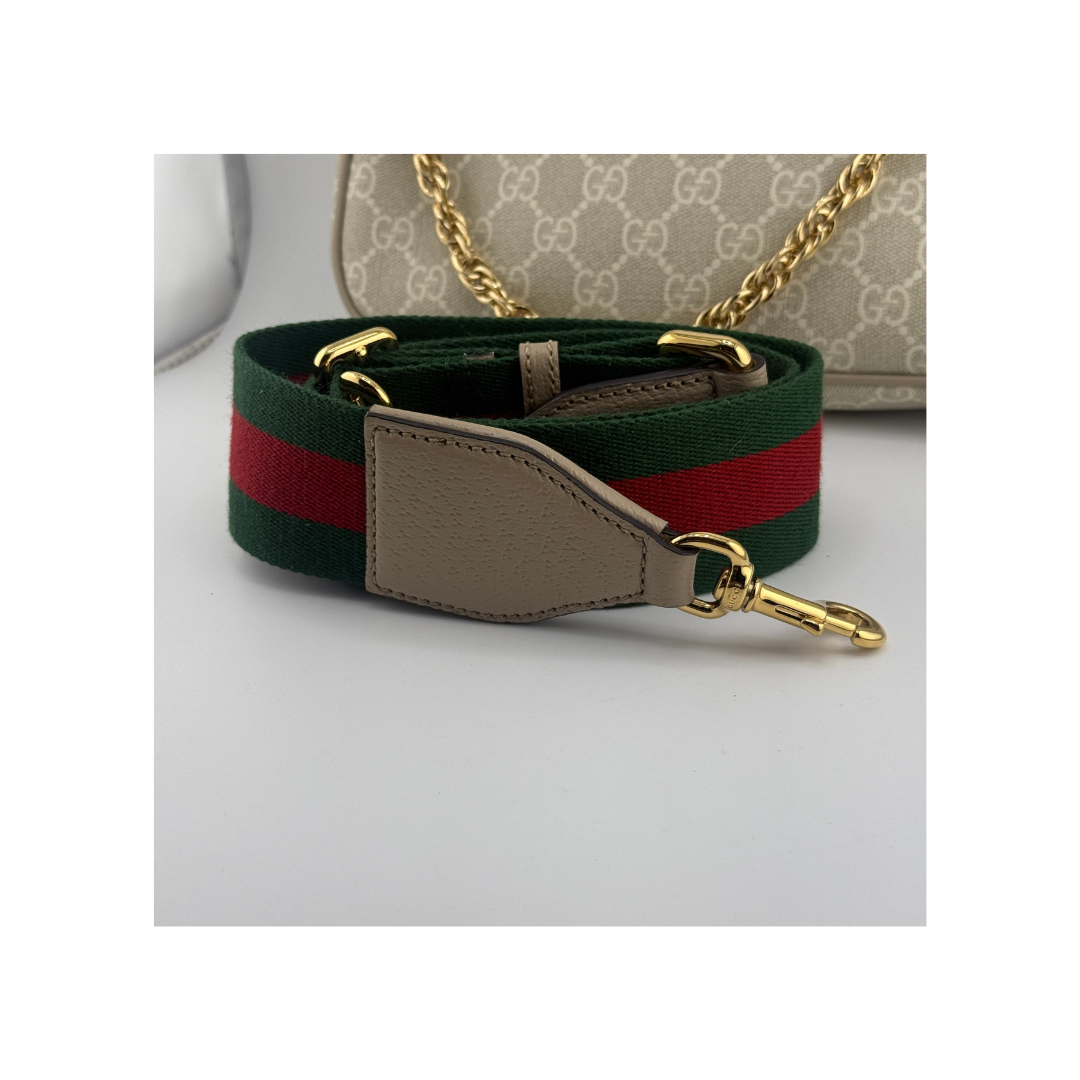 Gucci Ophidia Small Zorzoli Borse