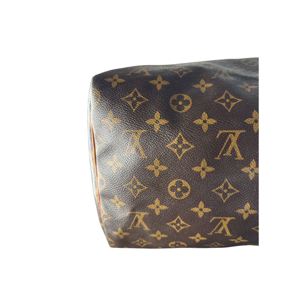 Louis Vuitton Speedy 40 Zorzoli Borse