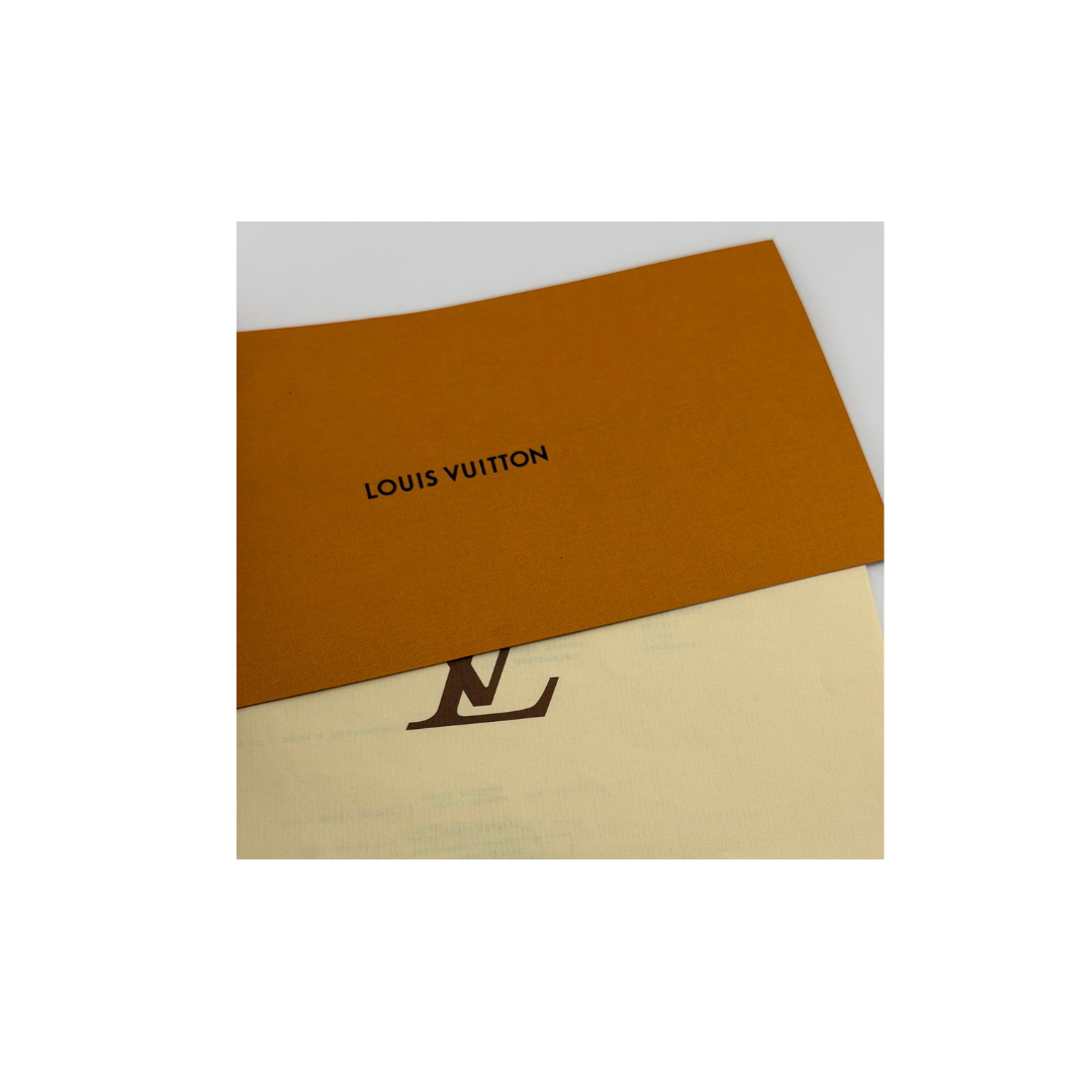 Louis Vuitton Speedy 35 Zorzoli Borse