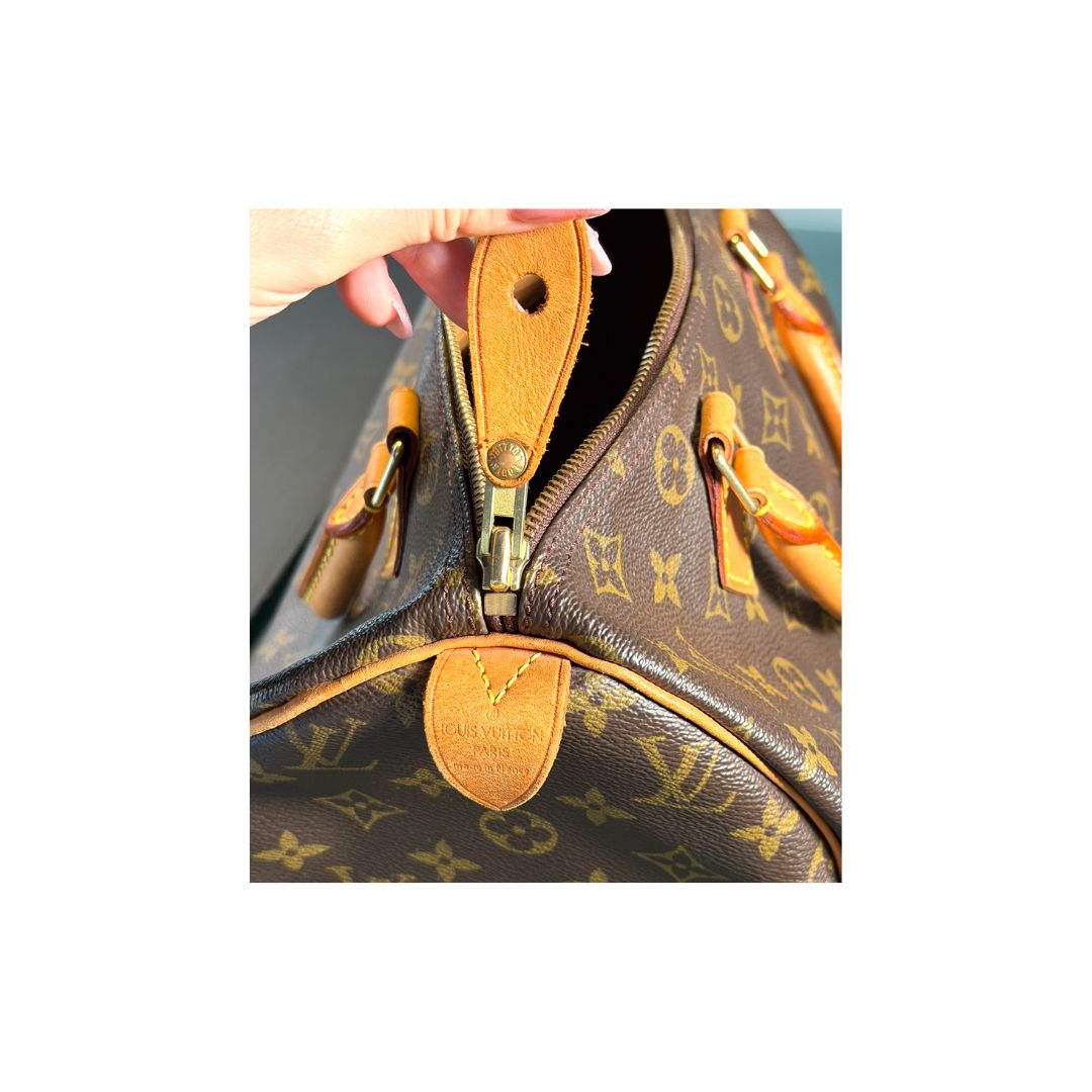 Louis Vuitton Speedy 30 Zorzoli Borse