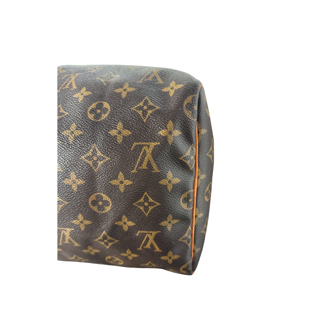 Louis Vuitton Speedy 40 Zorzoli Borse