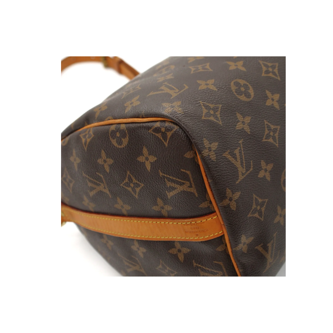 Louis Vuitton Speedy 30 Zorzoli Borse