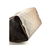 Louis Vuitton Speedy 30 Zorzoli Borse