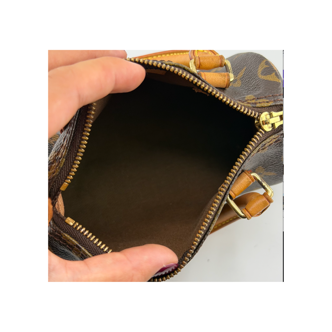 Louis Vuitton Nano Speedy Zorzoli Borse