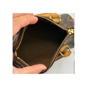 Louis Vuitton Nano Speedy Zorzoli Borse