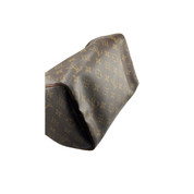 Louis Vuitton Speedy 25 Zorzoli Borse