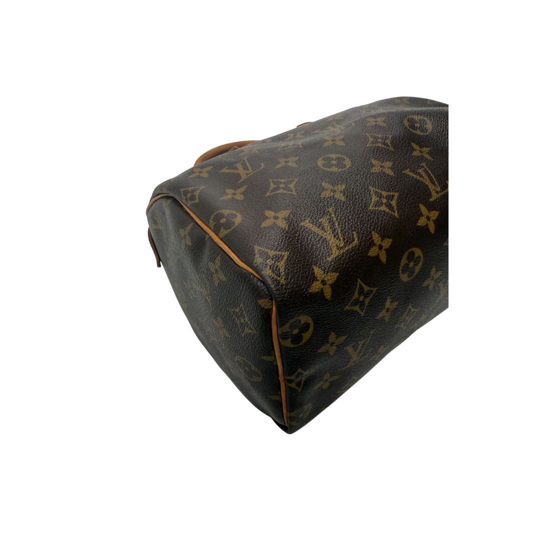 Louis Vuitton Speedy 25 Zorzoli Borse