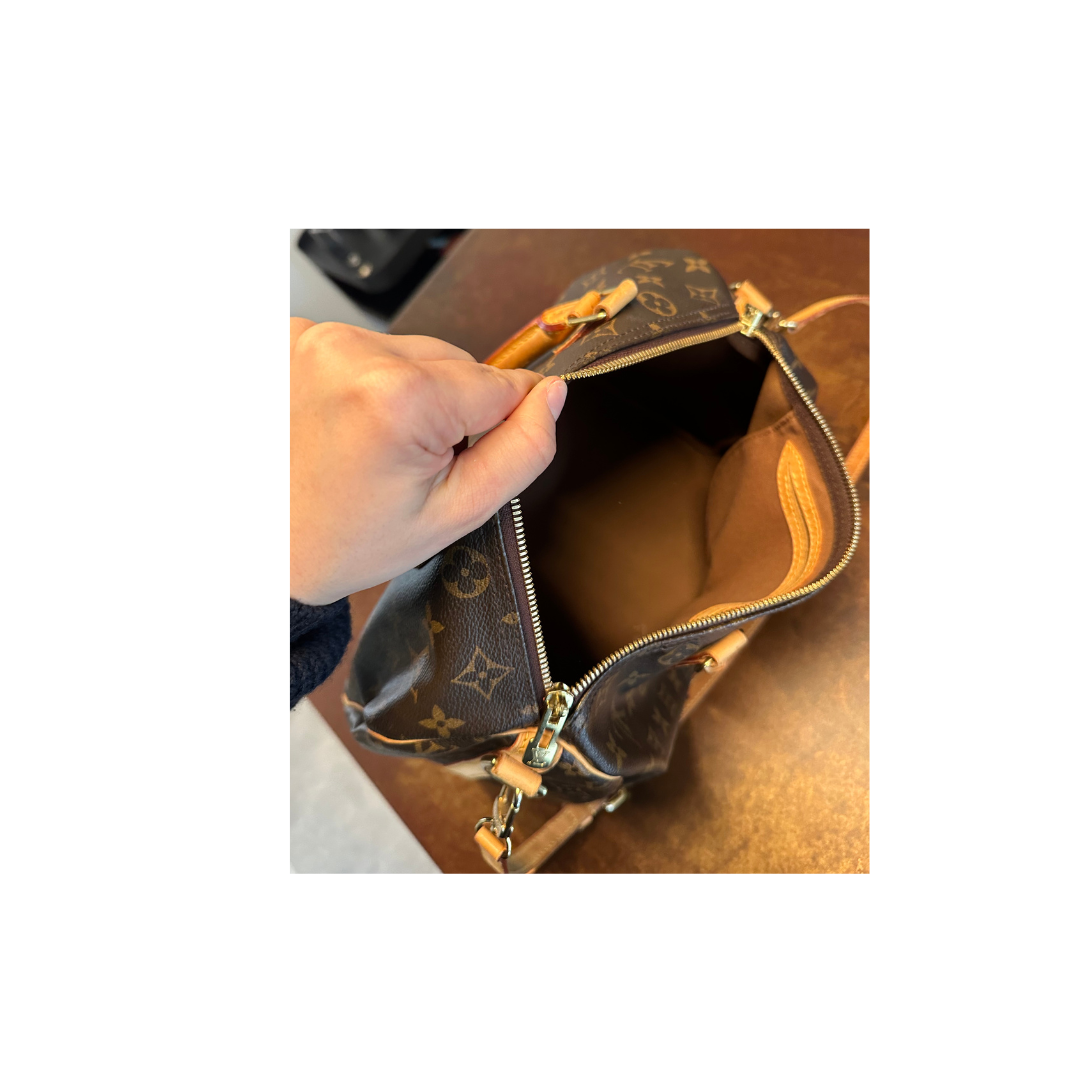 Louis Vuitton Speedy 30 Zorzoli Borse