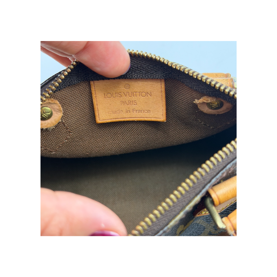 Louis Vuitton Nano Speedy Zorzoli Borse