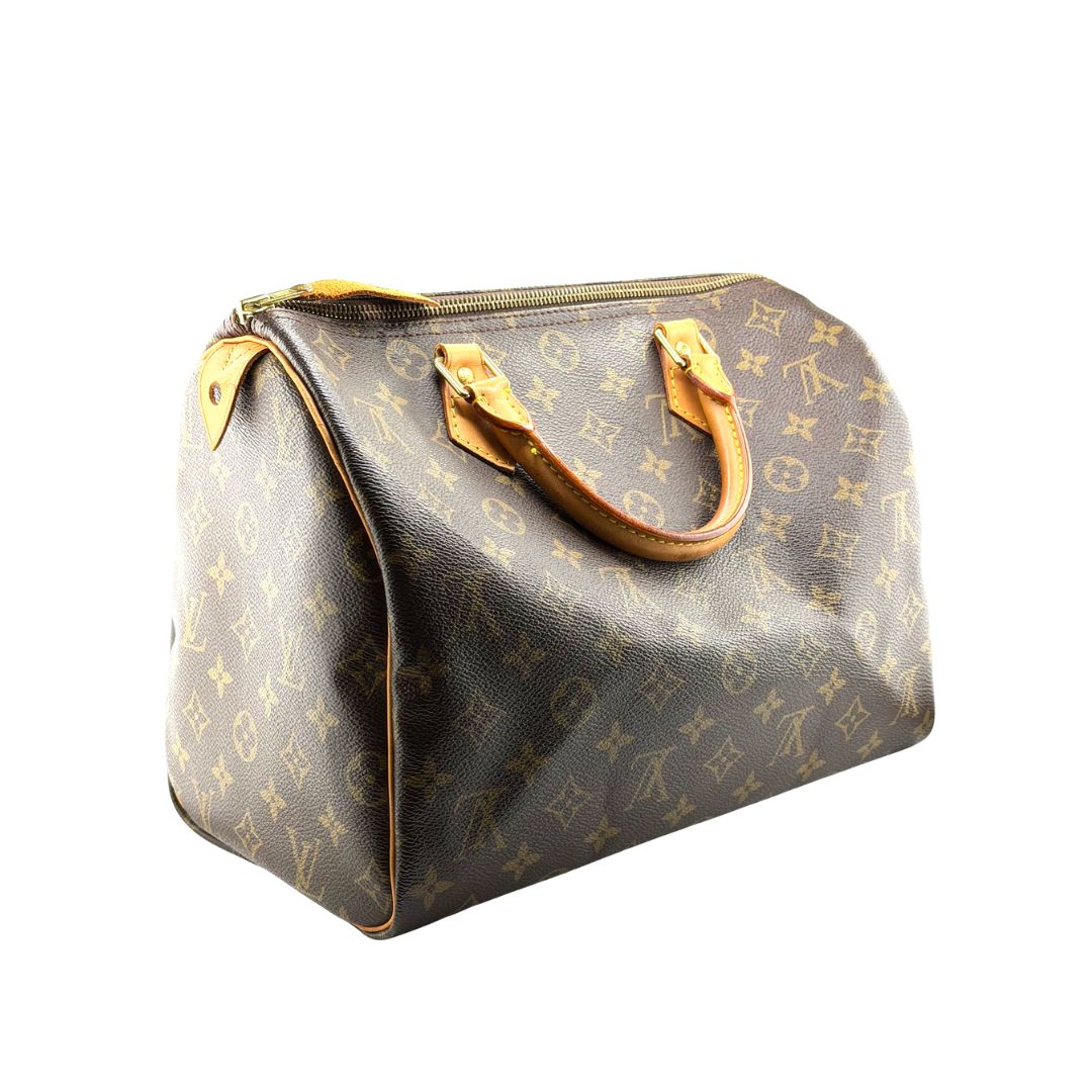 Louis Vuitton Speedy 30 Zorzoli Borse