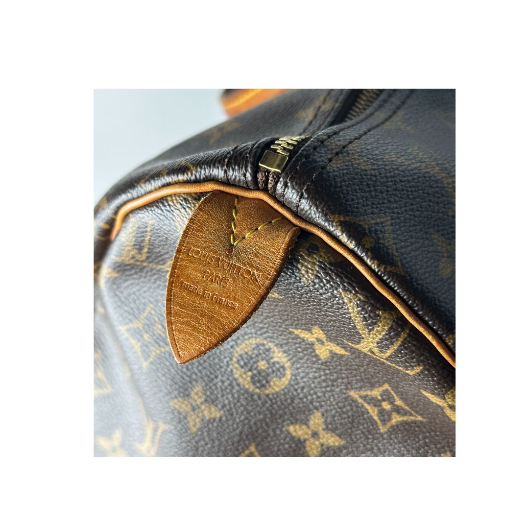 Louis Vuitton Speedy 40 Zorzoli Borse