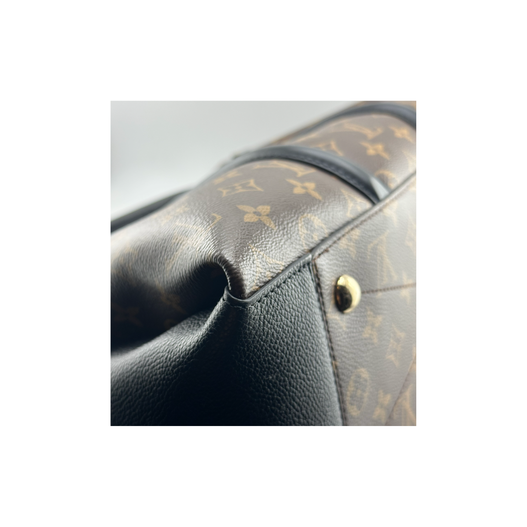 Louis Vuitton Soufflot MM Zorzoli Borse