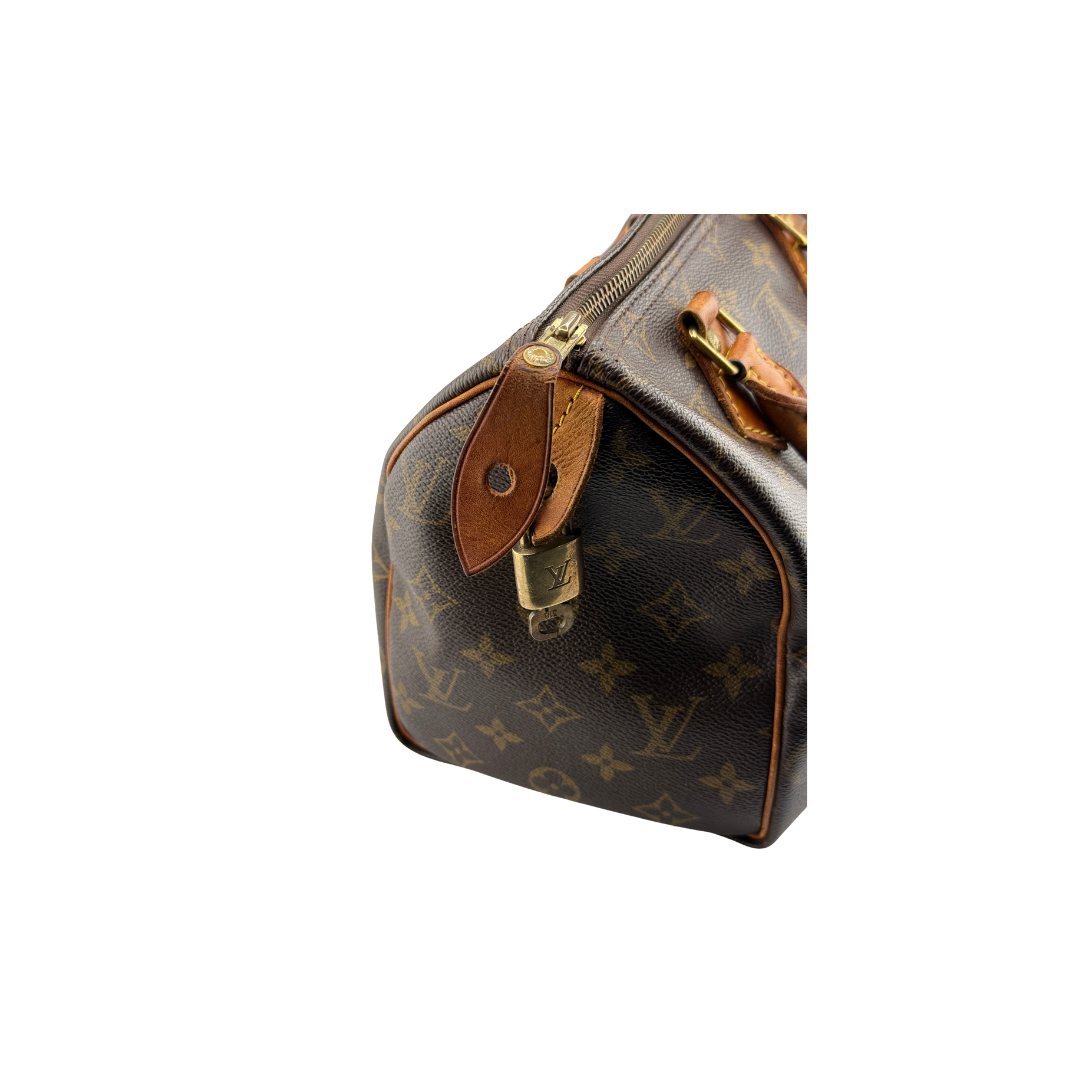 Louis Vuitton Speedy 25 Zorzoli Borse