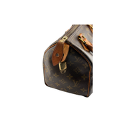 Louis Vuitton Speedy 25 Zorzoli Borse
