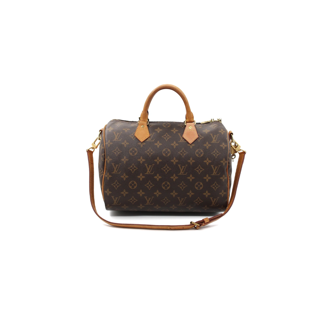 Louis Vuitton Speedy 30 Zorzoli Borse