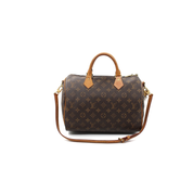Louis Vuitton Speedy 30 Zorzoli Borse