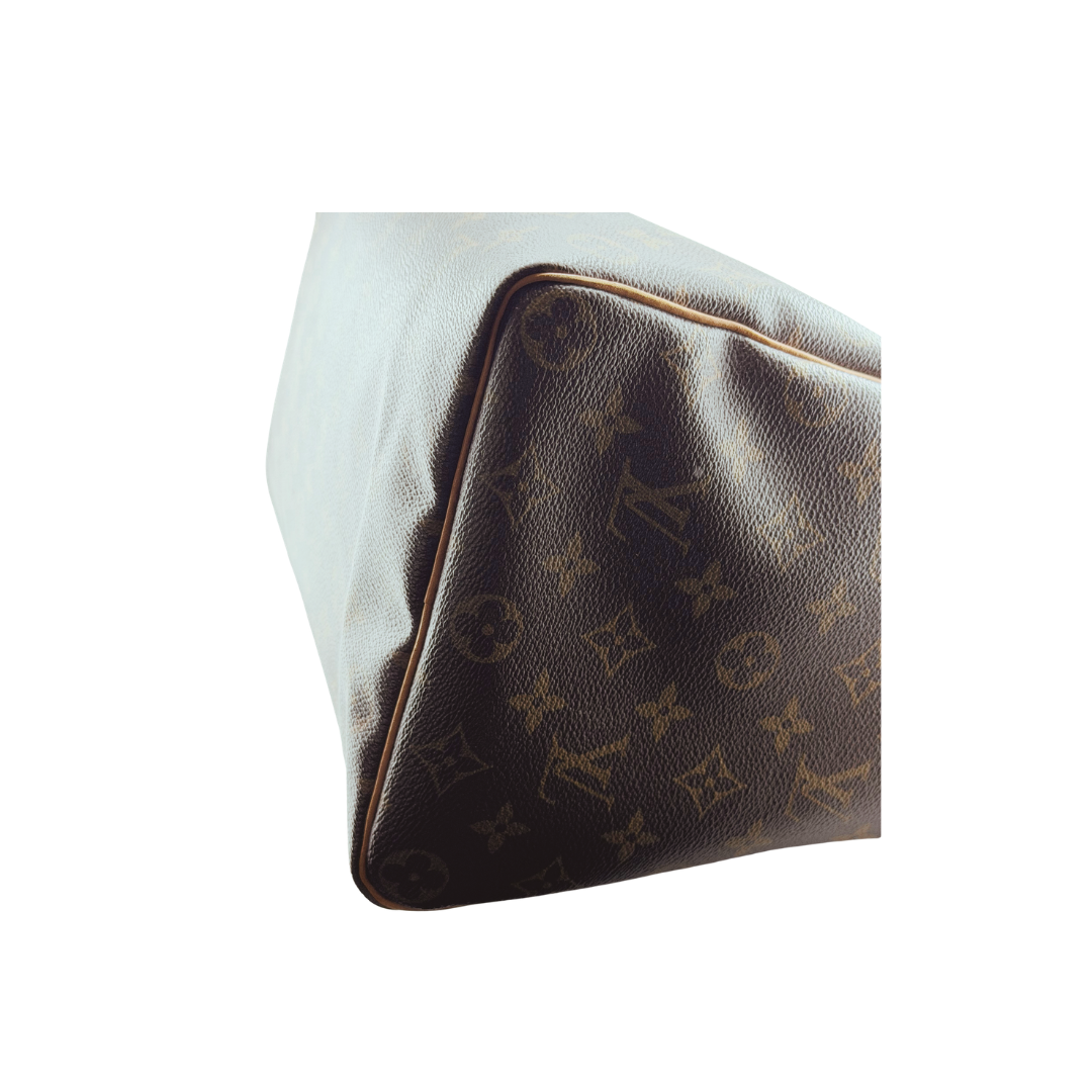 Louis Vuitton Speedy 35 Zorzoli Borse