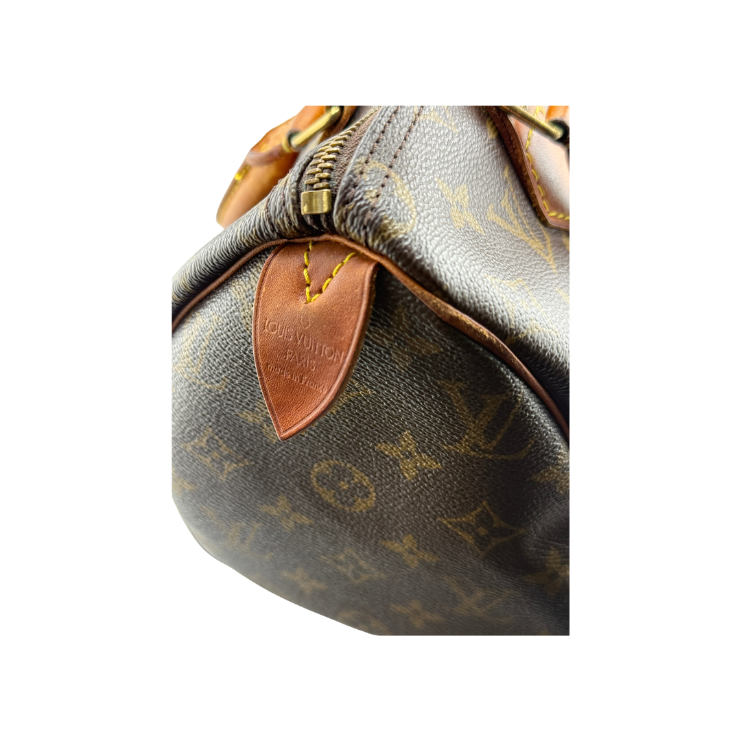 Louis Vuitton Speedy 25 Zorzoli Borse