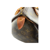 Louis Vuitton Speedy 25 Zorzoli Borse
