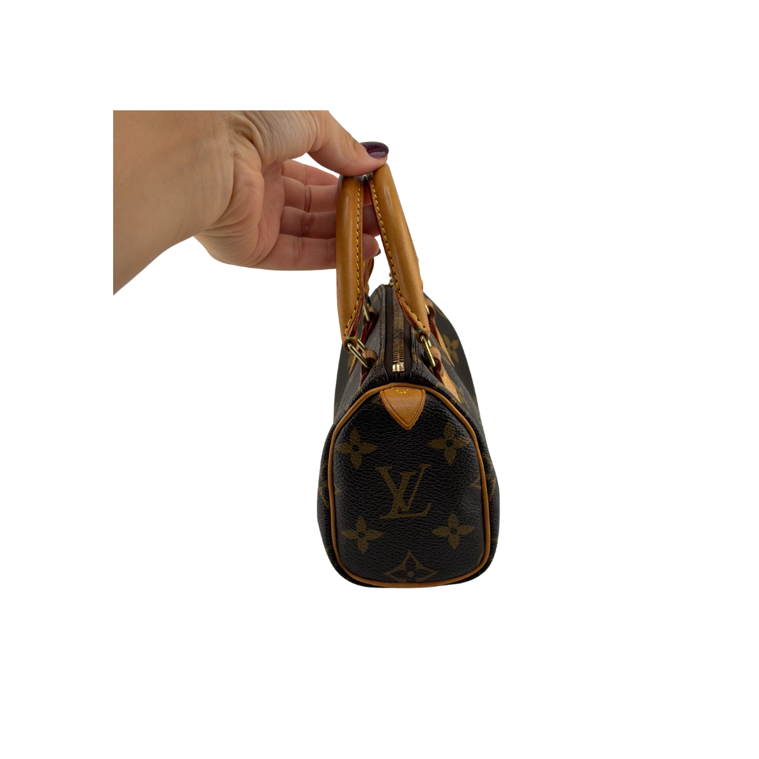 Louis Vuitton Nano Speedy Zorzoli Borse