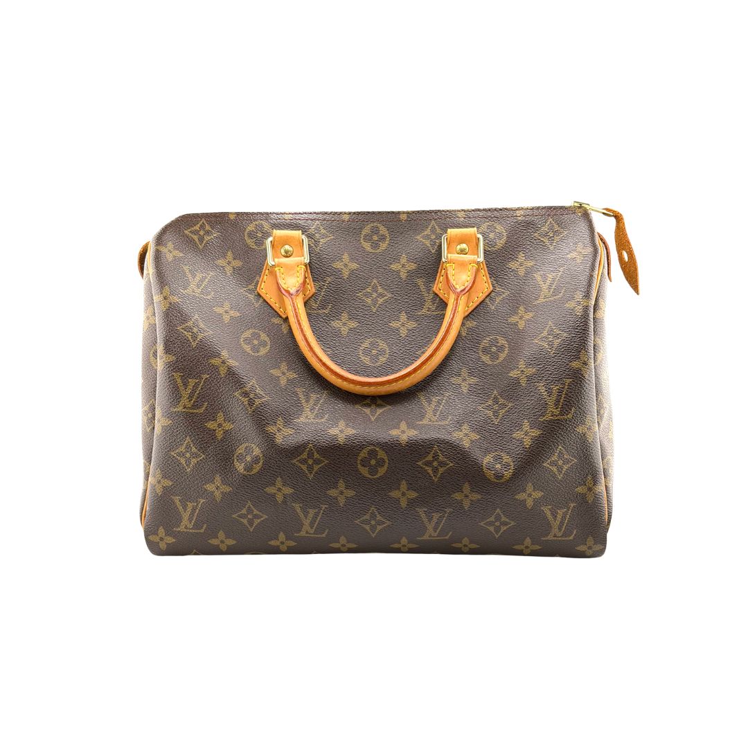 Louis Vuitton Speedy 30 Zorzoli Borse