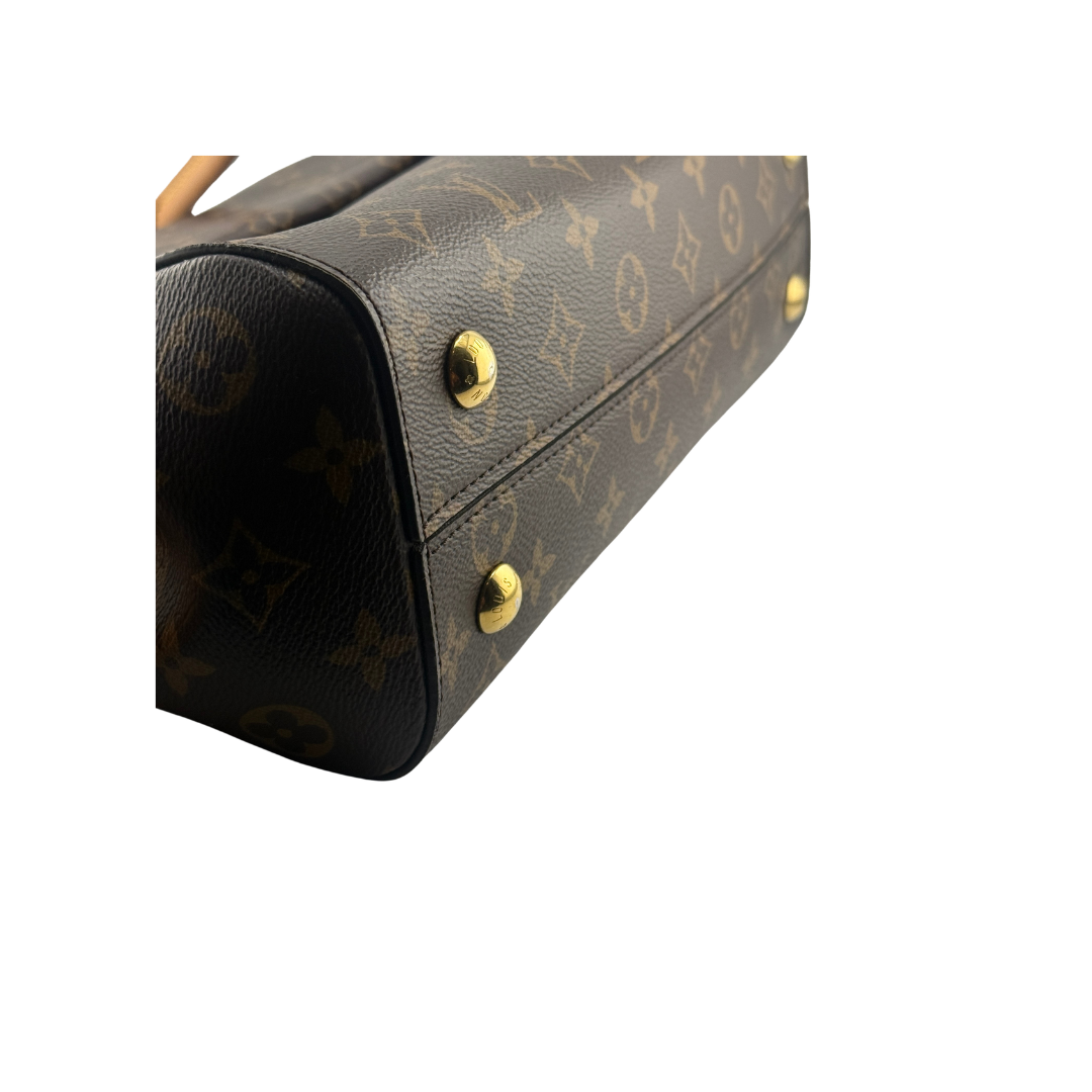 Louis Vuitton Cluny MM Zorzoli Borse