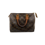 Louis Vuitton Speedy 25 Zorzoli Borse