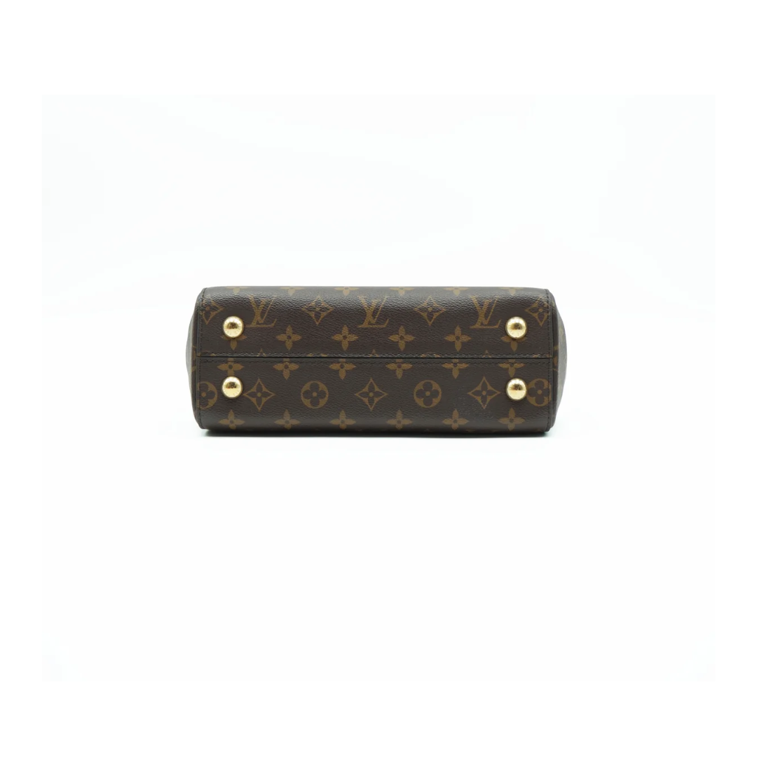 Louis Vuitton Cluny BB Zorzoli Borse