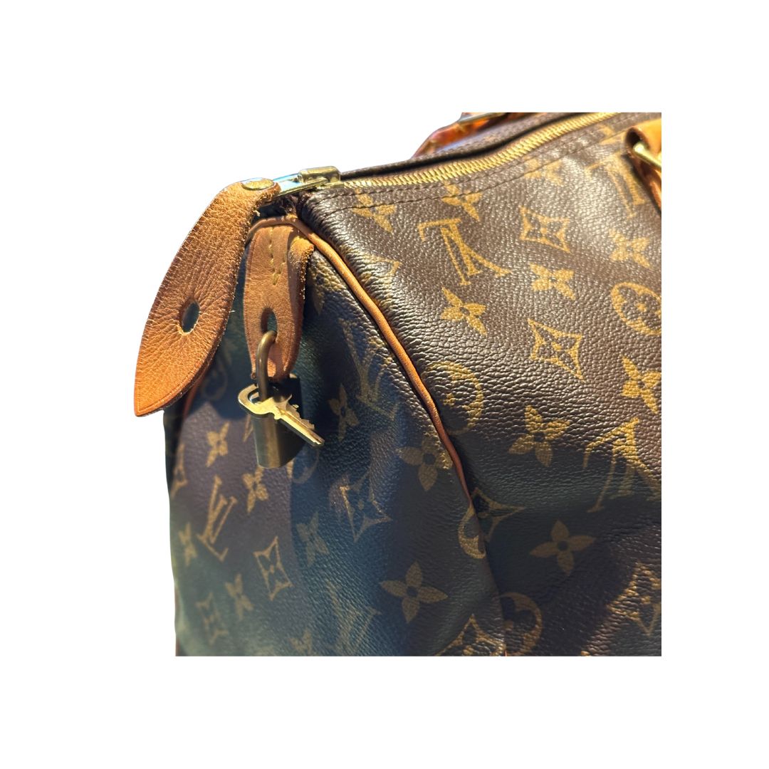 Louis Vuitton Speedy 40 Zorzoli Borse