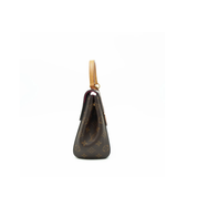 Louis Vuitton Cluny BB Zorzoli Borse
