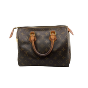 Louis Vuitton Speedy 25 Zorzoli Borse