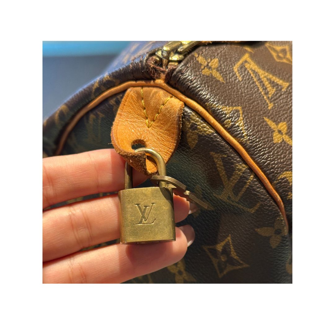 Louis Vuitton Speedy 40 Zorzoli Borse